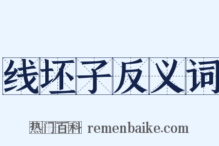 线坯子反义词是什么意思的图片
